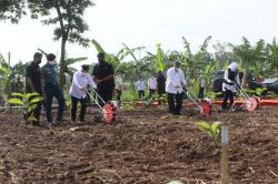Tekan Impor Bahan Pangan, Wapres Genjot Kekuatan Pangan di Daerah Dan Pondok Pesantren