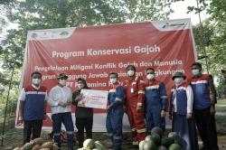 Menkeu RI Apresiasi Pusat Konservasi Gajah Binaan Pertamina Hulu Rokan