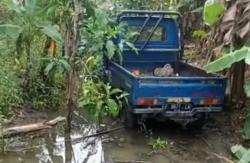 Diduga Mengantuk, Mobil Pickup Terperosok Ke Kebun Milik Warga Di Pangandaran