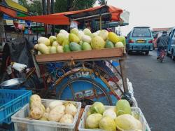 Bulan Ramadan, Pedagang Timun Suri Panen Untung