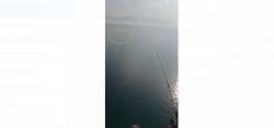 Penampakan Buaya 4 Meter di Pantai Olipier Belitung Timur Terekam Video Warga 