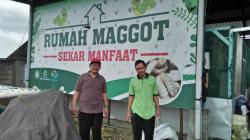 Begini Caranya Budidaya Maggot Di Desa Sekaran Kabupaten Lamongan