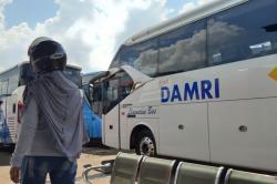 Siapkan 460 Bus, Damri Sudah Buka Penjualan Tiket Mudik