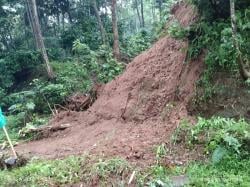 Diterjang Bencana Alam Longsor, Dua Rumah di Trenggalek Alami Kerusakan