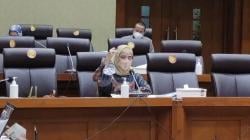 RDP dengan 4 Kementerian, Dewi Aryani Desak Pemerintah Percepat Nakes Honorer Jadi PPPK