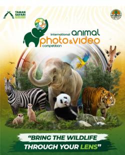 Usung tema  “Bring The Wildlife Through Your Lens“, TSI Gelar Lomba Foto Satwa Skala Internasional