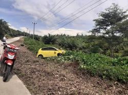 Supirnya Wanita, Mobil Nyungsep ke Kebun Sawit