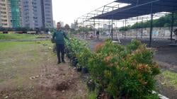 Persiapan Sewindu LEPPAMI, Lestarikan Semesta Menjaga Bangsa, Bidang LH Siapkan City ​​Greening