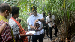 Sulap Kebun Salak Lahurus Menjadi Argo Wisata, Bank NTT Dukung Pengembangan UMKM Warga