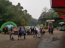 Feeding Black & White Ruffed Lemur Di TSI Bogor