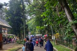 10 Ribu Orang Tak Datang Padahal Sudah Pesan Tiket Online, Pihak Ragunan Sangat Menyayangkan