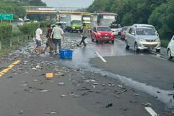 Edaaan! Ribuan Ikan Lele Macetkan Tol Merak di Musim Mudik