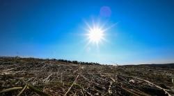 Puncak Musim Kemarau, Warga Kaltim Diimbau Waspada Suhu Ekstrem hingga 35 Derajat Celsius