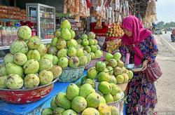 Untung Banyak! Penjual Mangga di Indramayu Raup Rp10 Juta Sehari