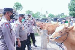 Antisipasi Penularan Penyakit Mulut dan Kuku, Petugas Gabungan Cek Pasar Sapi Situbondo