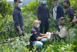 Bobol Rumah Nenek Santi, Wijana Tanam Uang Curian di Kebun Cabai