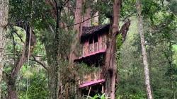 Yuuk, Rasakan Sensasi Menginap Di Rumah Pohon Telaga Ngebel