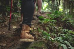 4 Risiko Bawa Anak Mendaki Gunung yang Wajib Diketahui Orangtua