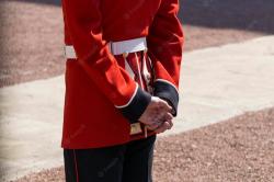 Ini Tujuh Fakta Menarik Queen's Guard Pasukan Penjaga Kerajaan Inggris,  Nomor 4 Dilarang ke Toilet