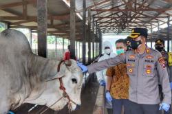 Cegah PMK, Kapolres Kobar Bersama Dinas Peternakan Monitoring ke Sejumlah Kandang Sapi