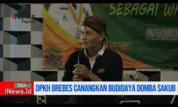 Video Dinas Peternakan Brebes Canangkan Budidaya Domba Sakub sebagai Warisan Budaya