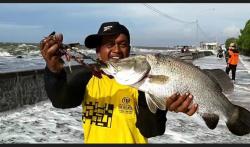 Berkah Banjir Rob, Warga Panen Ikan Laut yang Tersapu ke Daratan di Pesisir Pekalongan