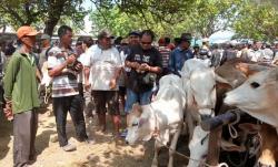 Dampak PMK Meluas, DPKH Brebes Lockdown Pasar Wage Bumiayu