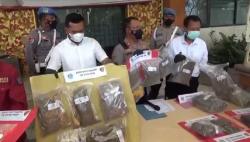 Miliki Ganja, Anak Ketua DPRD Badung Bali Ditangkap