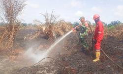 5 Hektar Kebun Sawit di Rohul Riau Terbakar