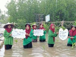 Bibir Pantai Bawean Ditanami Pohon Kelapa dan Mangrove, Ini Dia Penggeraknya