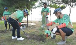 Peringati Hari Lingkungan Hidup Sedunia 2022, Pertamina Balongan Hijaukan Pesisir Pantai