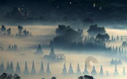 Tips dan Daftar Wisata di Negeri Atas Awan Dieng, Ada DCF di Bulan Agustus