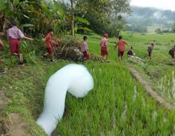 Viral Fenomena Alam Gumpalan Busa Besar Muncul di Tana Toraja