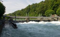 Ini Bendungan Engehalde di Sungai Aare yang Jadi Lokasi Akhir Perjalanan Eril