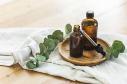 Aroma Jasad Eril Seperti Eucalyptus, Berikut Potret dan Manfaat dari Daun Tersebut