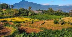 Indahnya Cimaung, Tempat Emmeril Kahn Mumtadz Dimakamkan