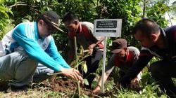 Jaga Kelatarian Hutan, Ribuan Bibit Pohon Durian dan Alpukat Ditanam