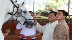 Prabowo Subianto Ajari Gibran Rakabuming Naik Kuda di Hambalang, Jan Ethes Disebut-sebut