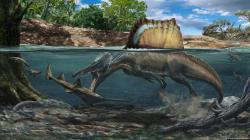 Wow! Fosil Dinosaurus Karnivora Terbesar Berhasil Ditemukan di Isle of Wight Benua Eropa
