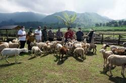 Wakil Bupati Sadewo Launching Menggala Ranch, Wisata New Zealand of Java