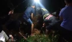 9 Ekor Sapi di Ponorogo Mati Mendadak, Total Kematian akibat PMK 490 Kasus