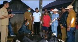 Angka Kematian Sapi Tinggi, Bupati Ponorogo Minta Uji Laboratorium