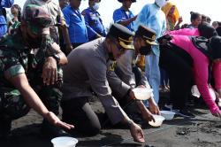 Lestarika Penyu, Kapolresta Lepas Puluhan Tukik di Pantai Cemara