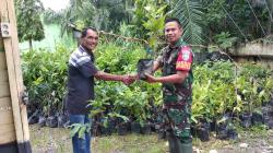 Kodim 0110 Abdya Bagikan 8000 Bibit Tanaman Gratis Untuk Warga