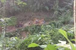 Sering Jadi Korban Janji Pemkab Lebak, Warga Bangun Jalan Sendiri