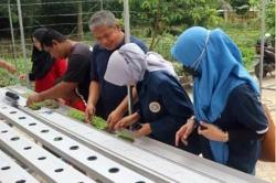 Kembangkan Potensi, Rumah Singgah Al Hidayah Latih Pegawai dan Rehabilitant Cara Budidaya Hidroponik