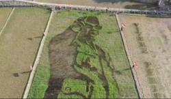 Gambar Bung Karno Terhampar di Atas Sawah Semarang