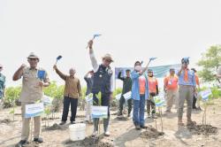 Jabar Gencarkan Penanaman Jutaan Bibit Mangrove di Pesisir Utara