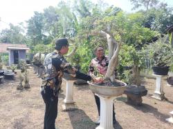 Mengenal Lebih Dekat Bonsai dan Kerajinan Khas Gondosuli