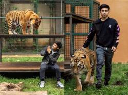 Alshad Ahmad YouTuber Piara Harimau, Ini Sumber Kekayaannya